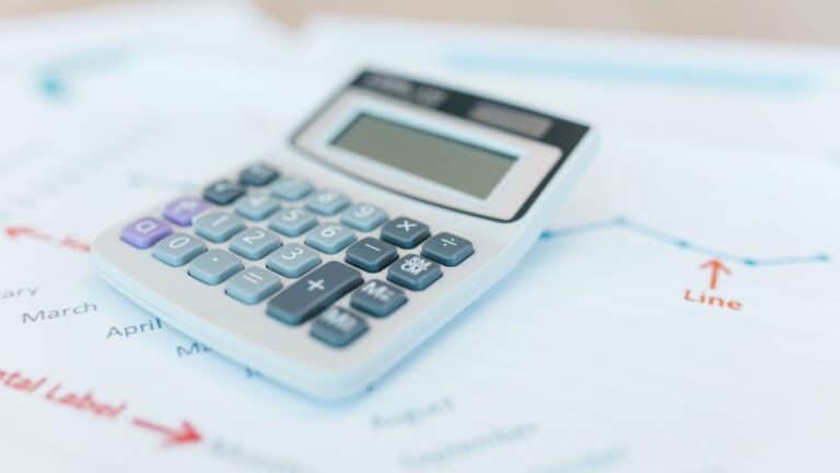 A spreadsheet with calculations